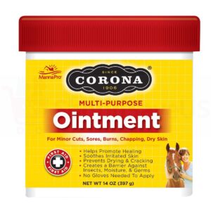 Corona pro Ointment for Horse