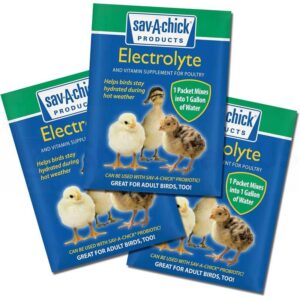 Sav A Chick Electrolyte