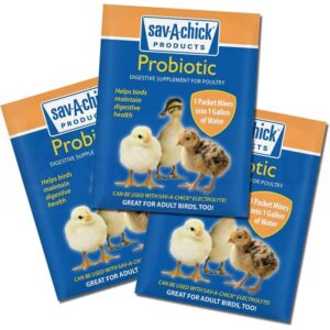 Sav A Chick Probiotic