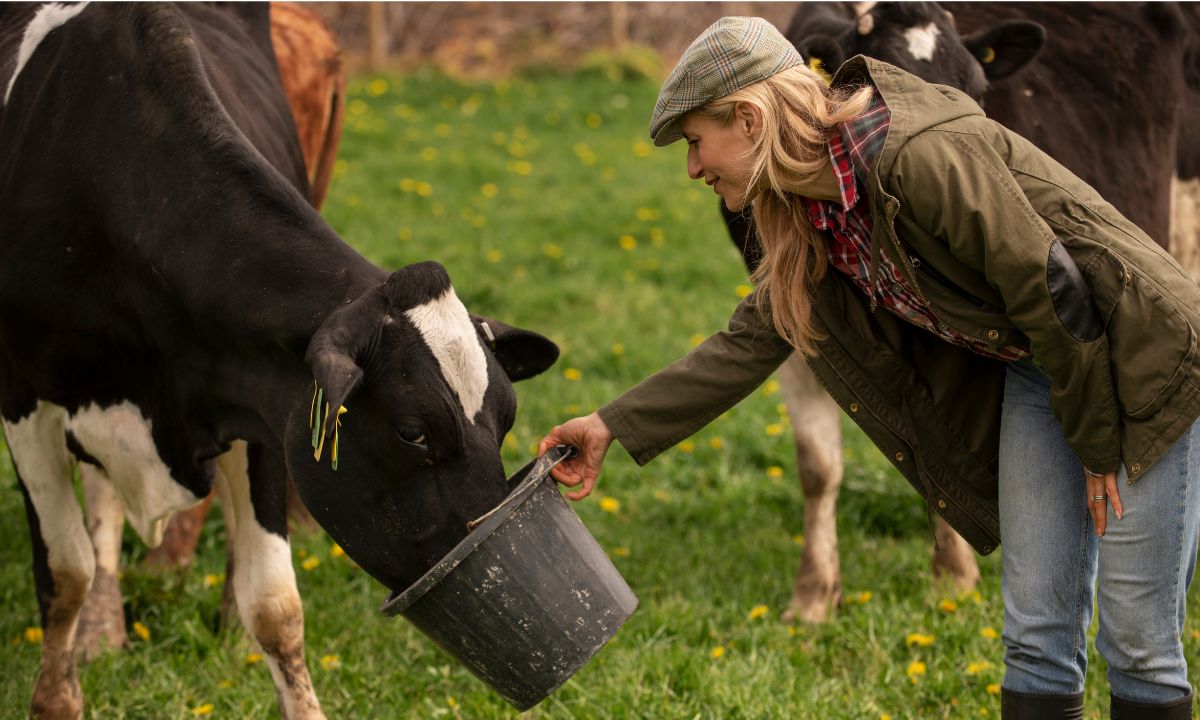 cattle care essentials