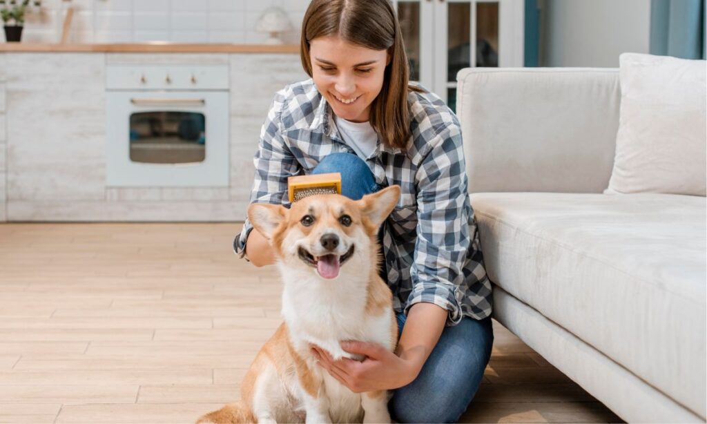 dog health tips